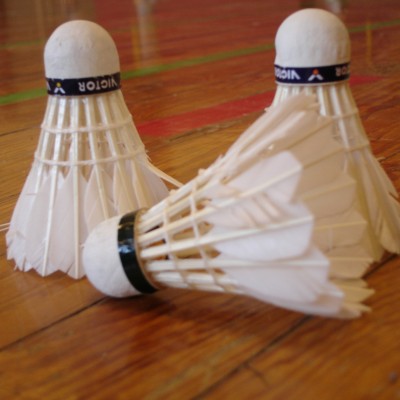 Imagefoto von Badmintonclub Empor Döbeln e. V.